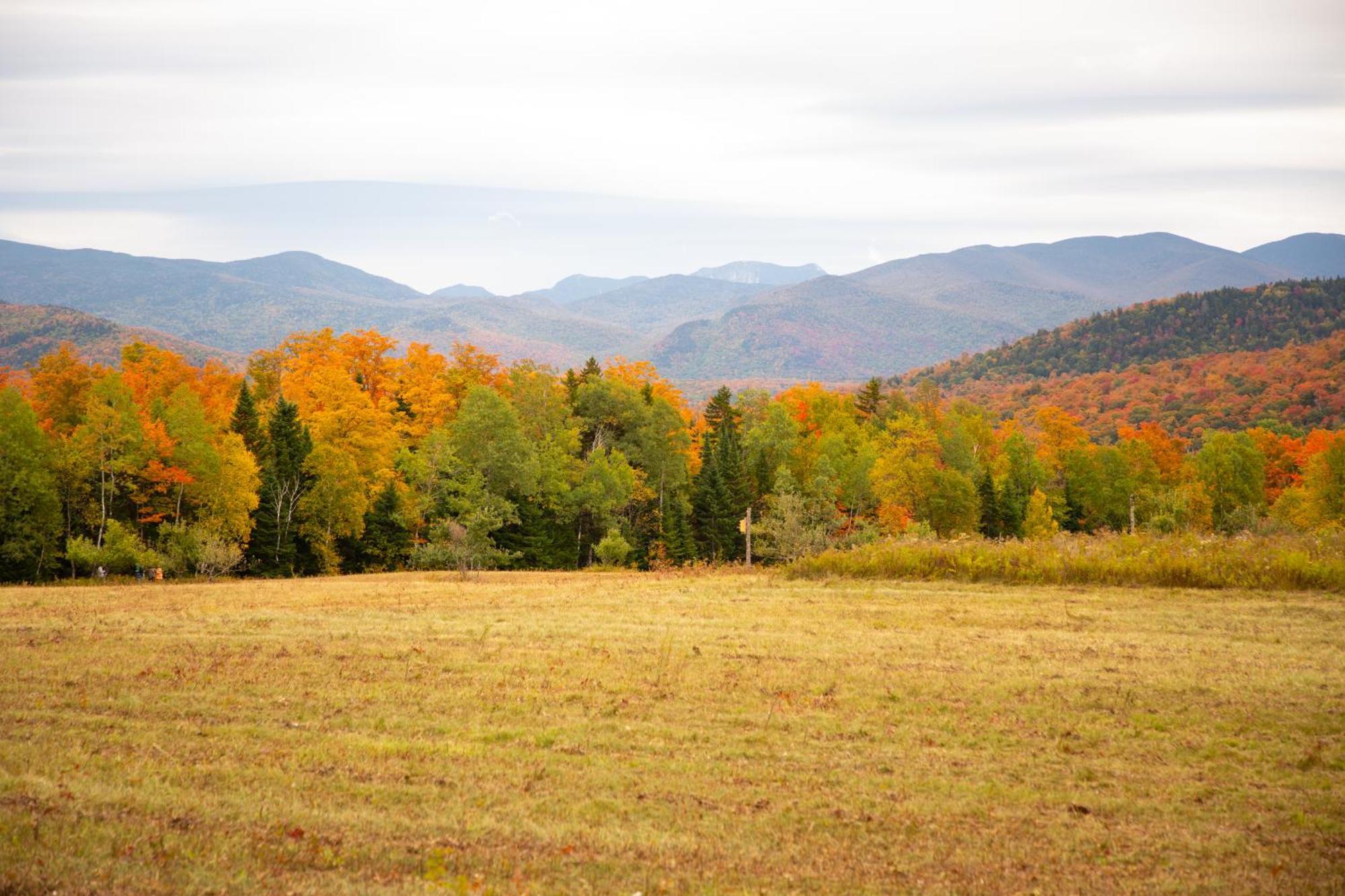 Lake Placid Inn: Residences Buitenkant foto